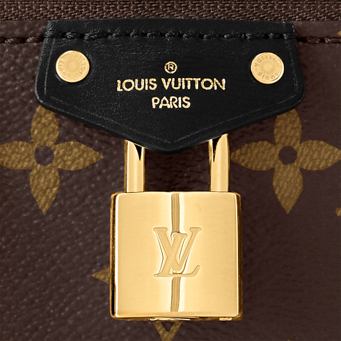 Vanity Chain Pouch Monogram Reverse in Women's Wallets and Small Leather Goods Wallets on Chain and Micro Bags collections by Louis Vuitton (Product zoom)