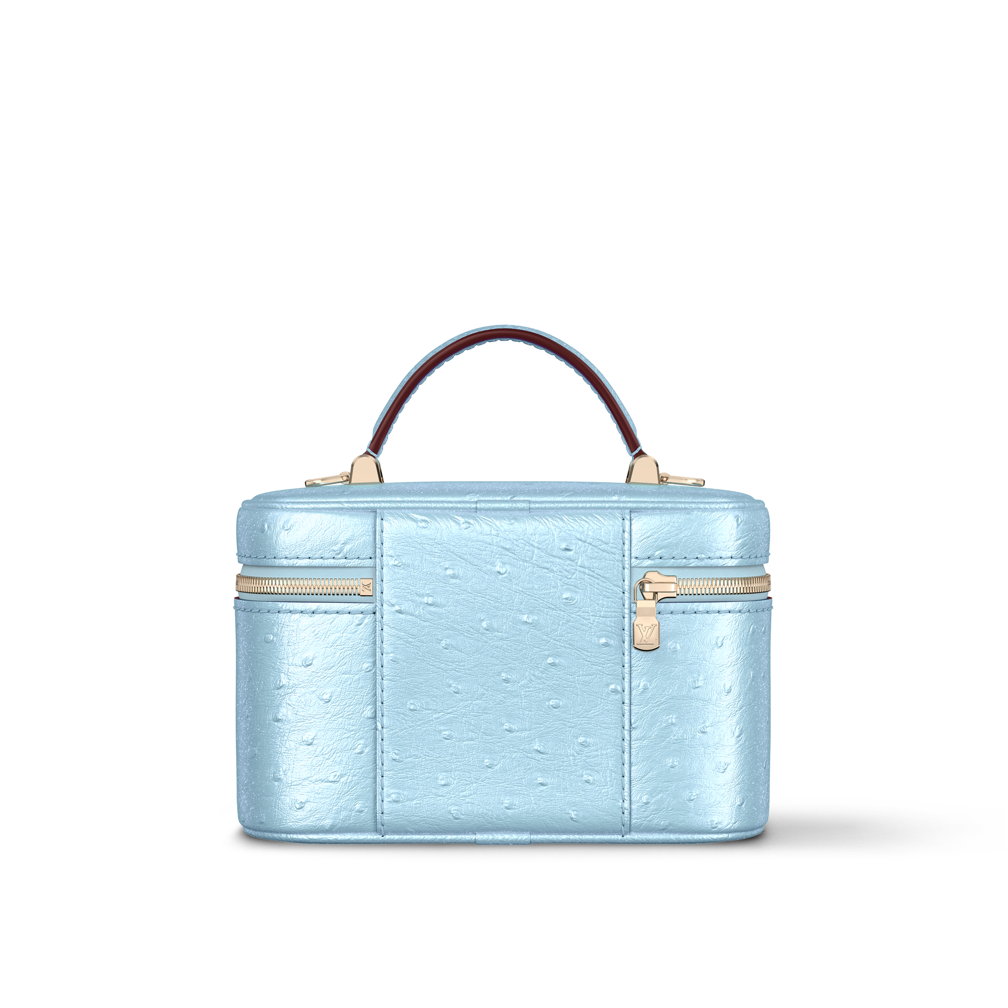 Vanity Chain Pouch Autruche in Women