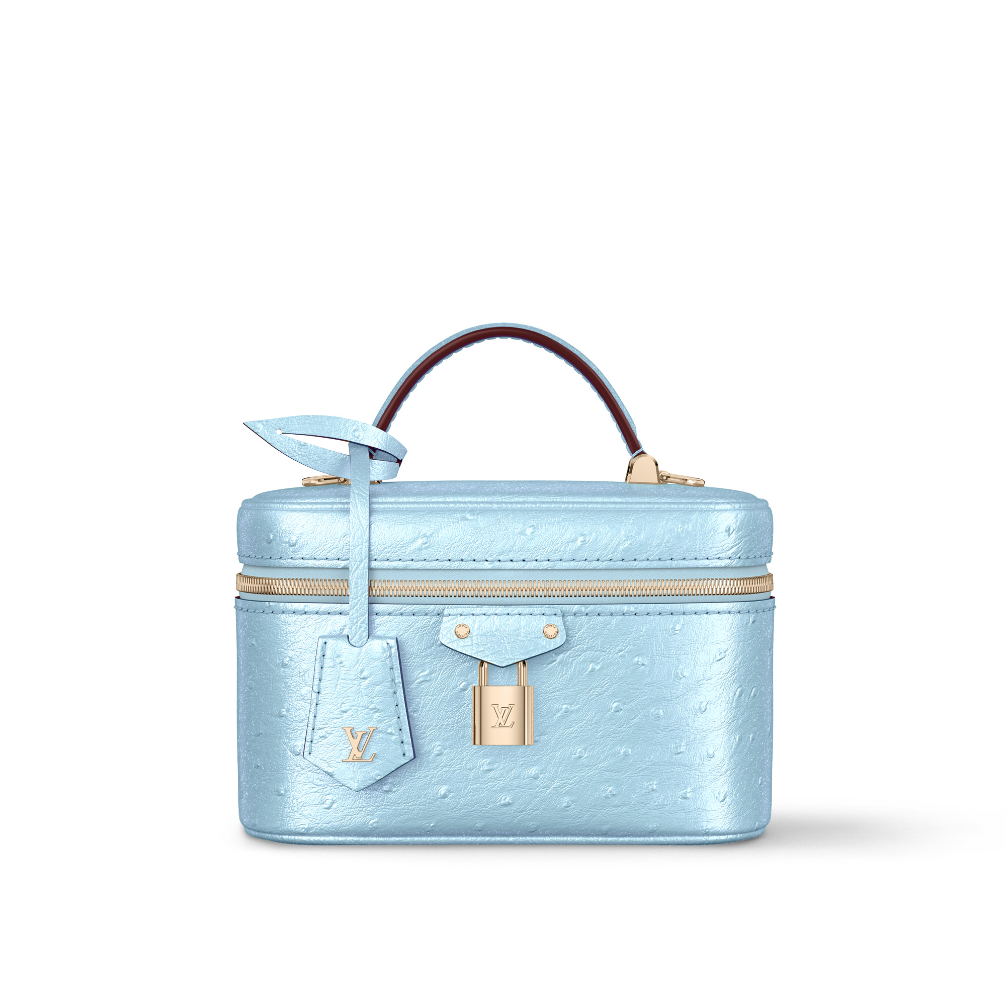 Vanity Chain Pouch Autruche in Women