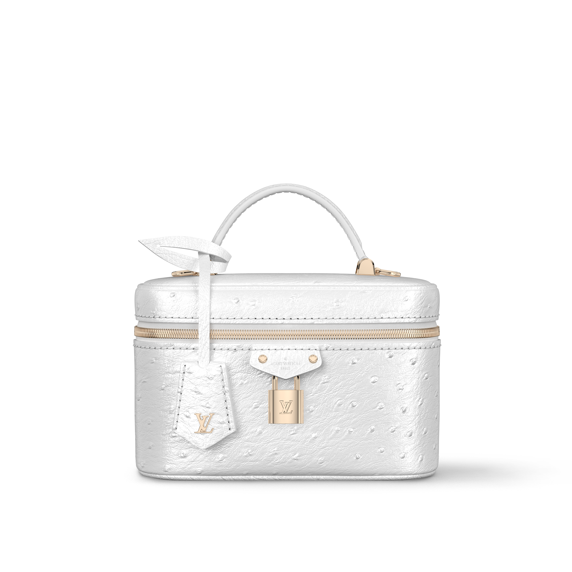 Vanity Chain Pouch Autruche in Women