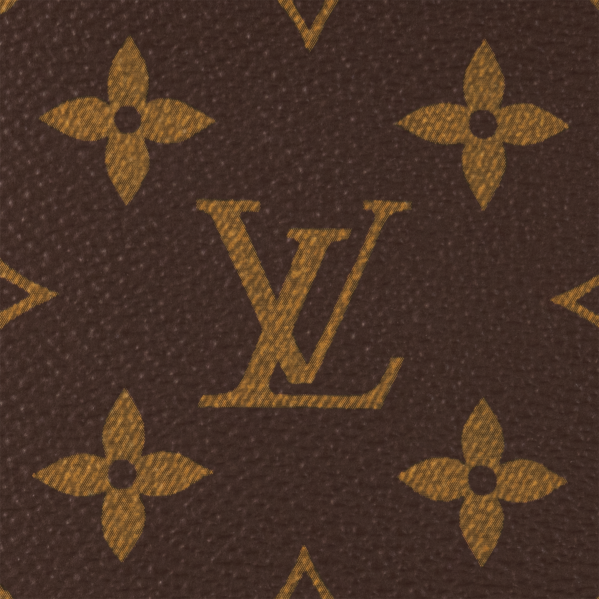 Vivacité Monogram in Women