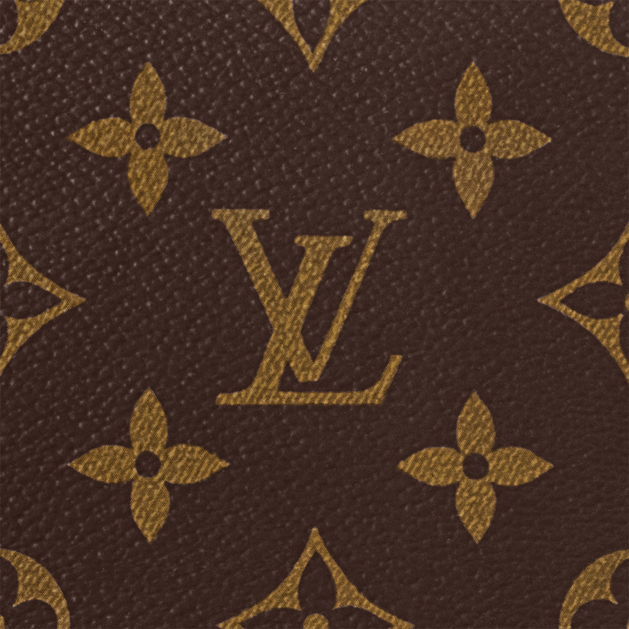 Zippy Organizer Monogram in Super Lucky Day